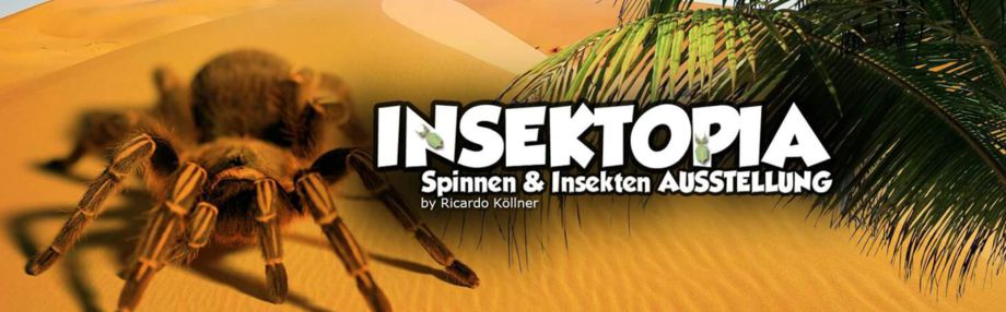 Insektopia